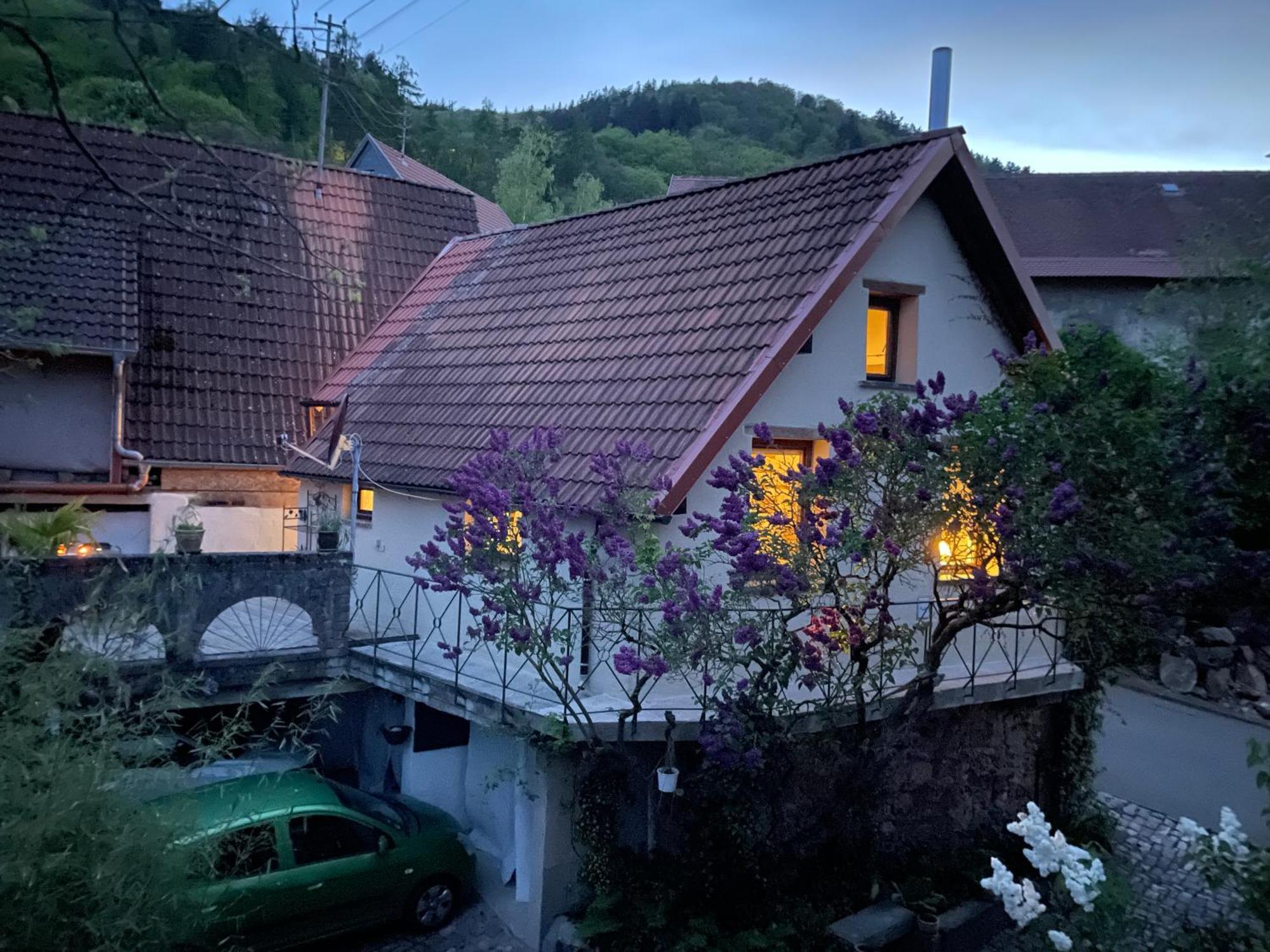فيلا "Casita Linda "Am Donnersberg Dannenfels المظهر الخارجي الصورة